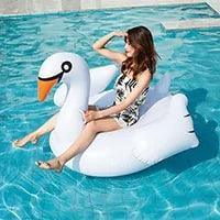 Inflatable Flamingo Float - The Next Door Neighbor 