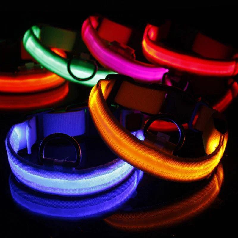 LED Adjustable Dog Collar - The Next Door Neighbor 