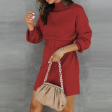 Turtleneck Sweater Dress - The Next Door Neighbor 