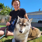 Dog Shower Jet Attachment - The Next Door Neighbor 