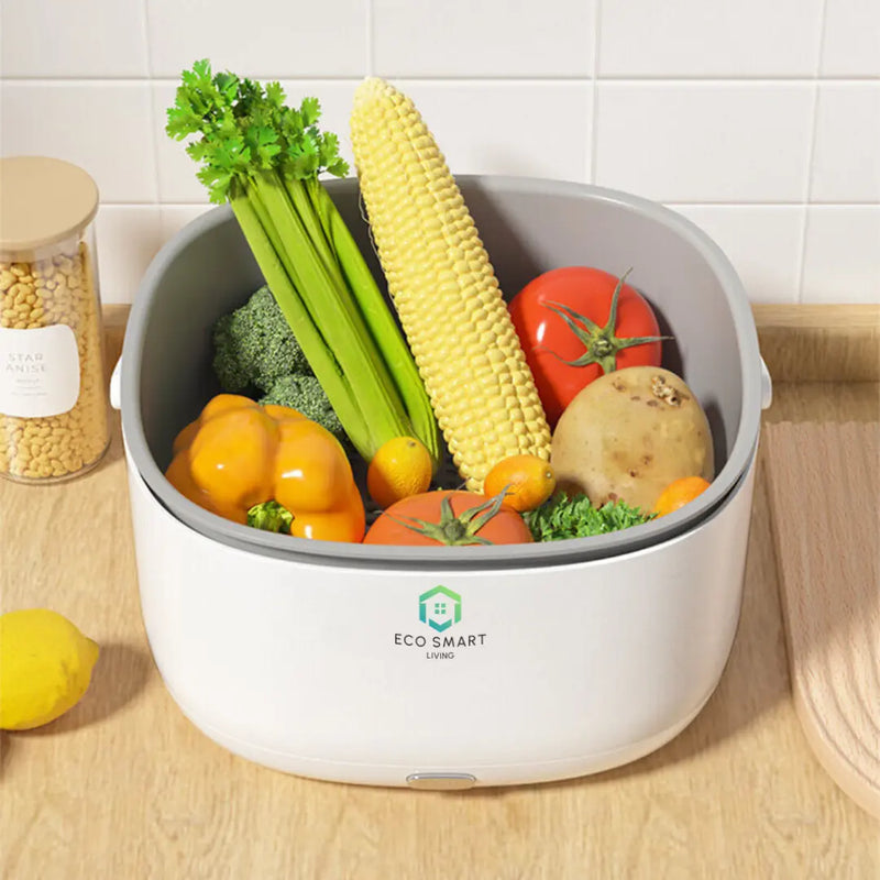 Vegetable Washing and Purifier
