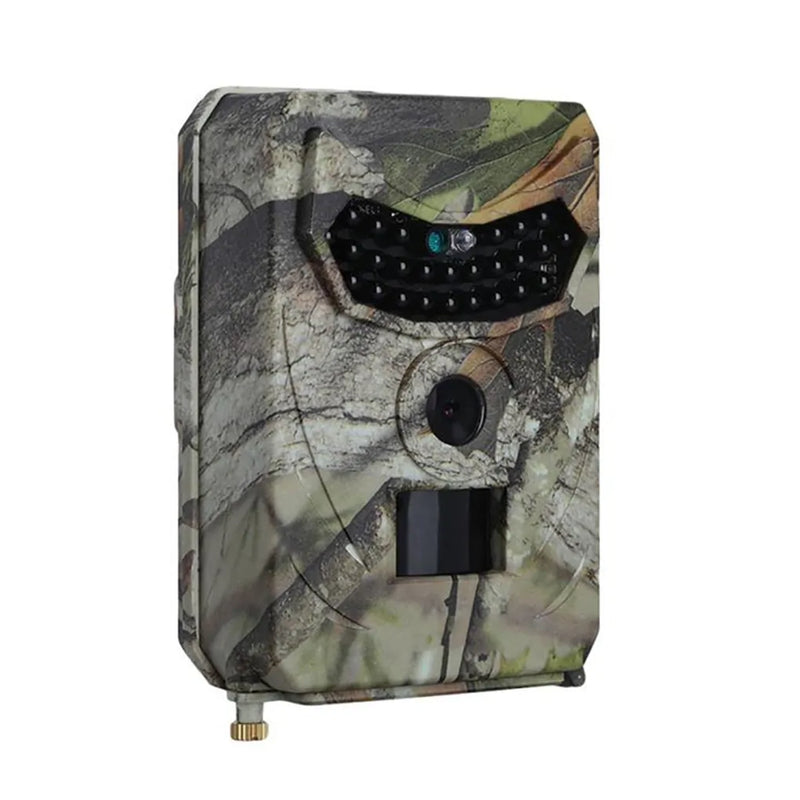 Night Vision Trail Wildlife Camera - The Next Door Neighbor 