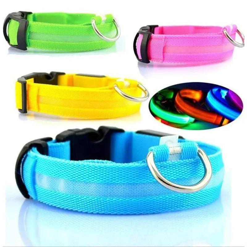 LED Adjustable Dog Collar - The Next Door Neighbor 