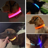 LED Adjustable Dog Collar - The Next Door Neighbor 