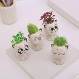 Mini Cat Shaped Cartoon Ceramic Flowerpot - The Next Door Neighbor 