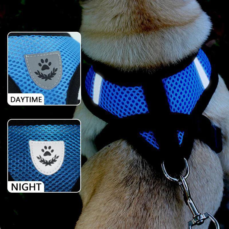 Cat or Dog Adjustable Pet Harness - The Next Door Neighbor 