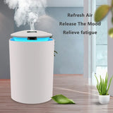 Mini Air Humidifier - The Next Door Neighbor 