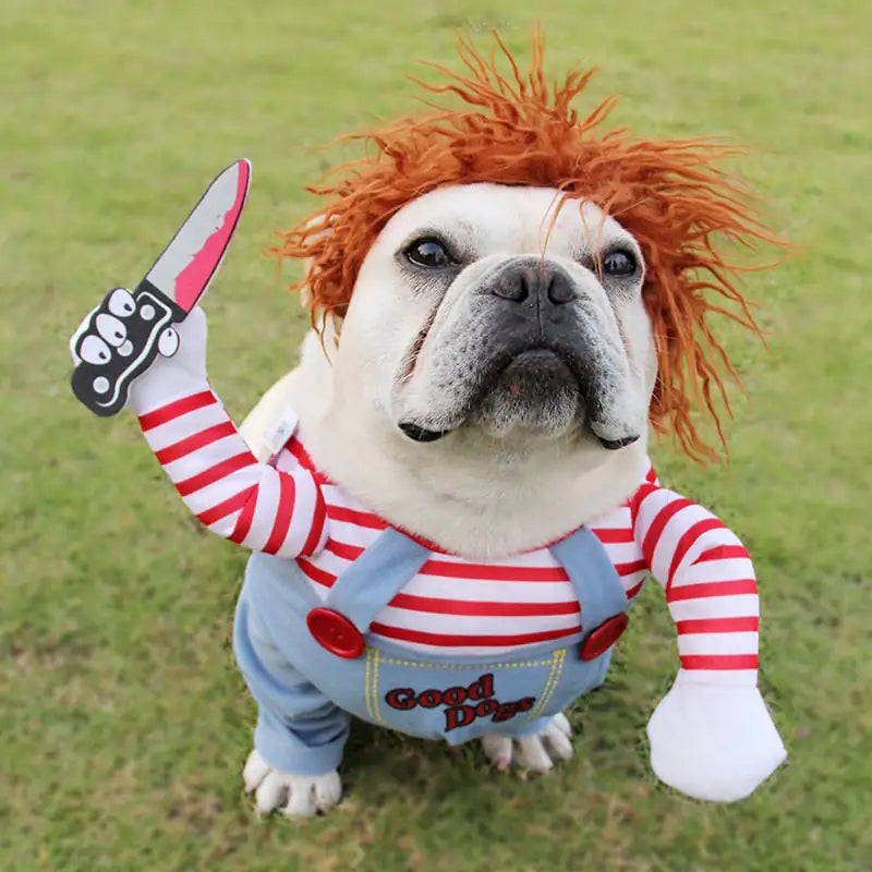 Trendy Chucky Dog Costume