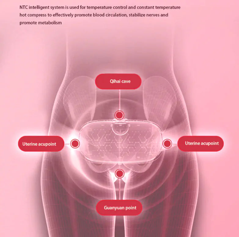 Abdominal Massage Belt - The Next Door Neighbor 