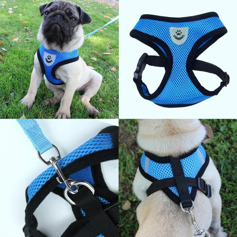 Cat or Dog Adjustable Pet Harness - The Next Door Neighbor 