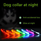 LED Adjustable Dog Collar - The Next Door Neighbor 