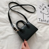 Mini Shoulder Handbag - The Next Door Neighbor 