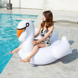 Inflatable Flamingo Float - The Next Door Neighbor 