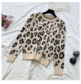 Long Sleeve Knit Leopard Pullover Sweater + Pants Set