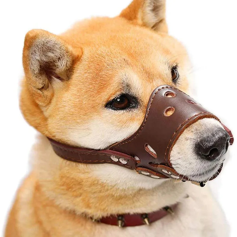 Soft Leather Dog Muzzle