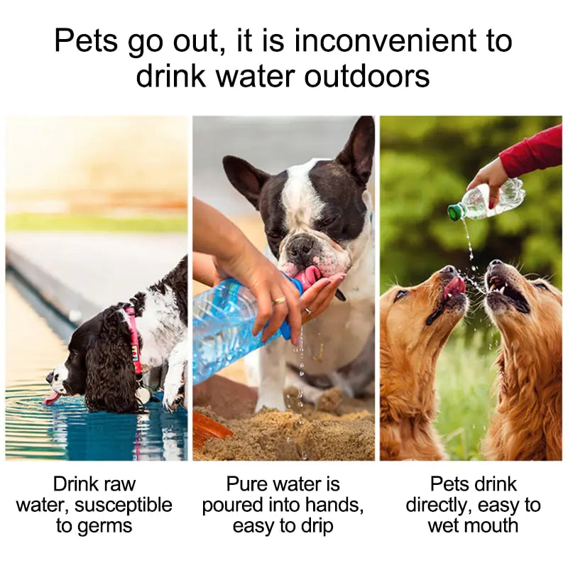 Pet Travel Water or Food Bottle