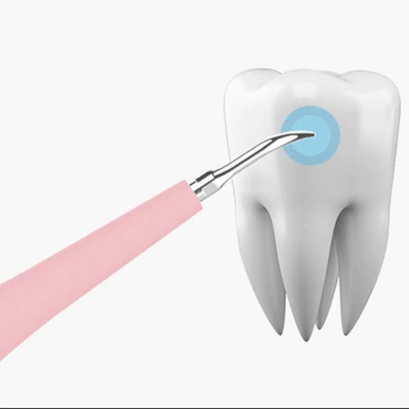 Portable Electric Sonic Dental Scaler - The Next Door Neighbor 