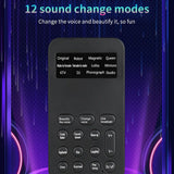 Mini Voice Changer Device
