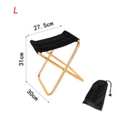 Lightweight Folding Portable Outdoor Chair - The Next Door Neighbor 