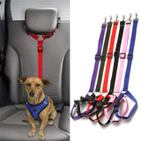 Nylon Pet Seatbelts