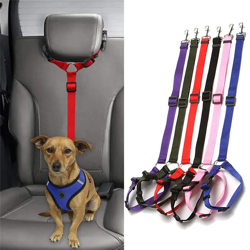 Nylon Pet Seatbelts - The Next Door Neighbor 