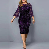 Plus Size Sequin Mesh Evening Dress