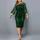 Plus Size Sequin Mesh Evening Dress