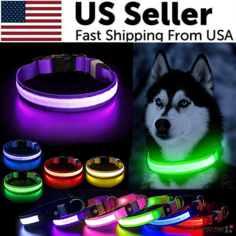 LED Adjustable Dog Collar - The Next Door Neighbor 