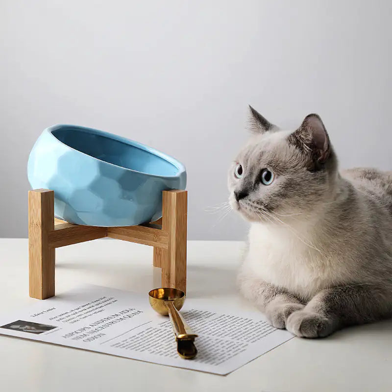 Purr-fect cat bowl - The Next Door Neighbor 