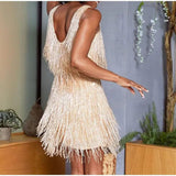 Fringed Sequin Feather Dress