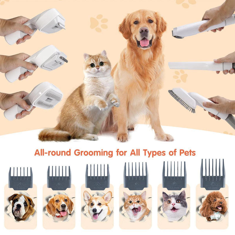 Pet Grooming Pro: All-in-One