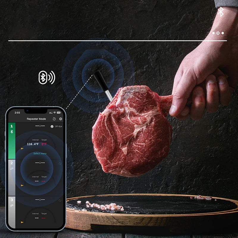 Wireless Meat Food Thermometer for Oven, Grill, BBQ, Smoker, and Kitchen