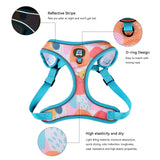 3Pcs/Set Cute Print Adjustable Luxury Design Pet Harness & Leashes