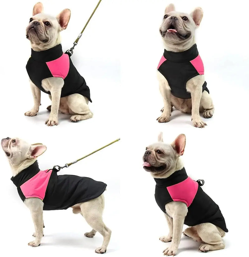 Thick Padded Pet Jackets