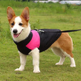 Thick Padded Pet Jackets