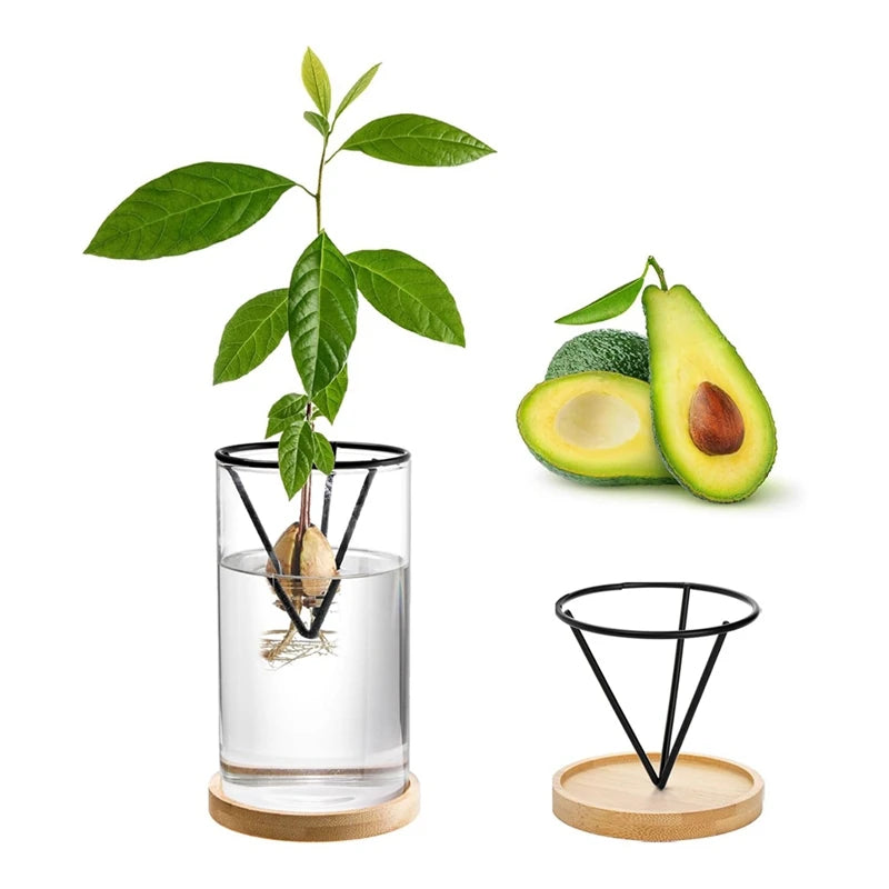 Glass Avocado Seed Vase with Triangle Bracket and Bamboo Base