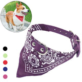 Cat Dog Collar with Scarf – Adjustable Pet Collar