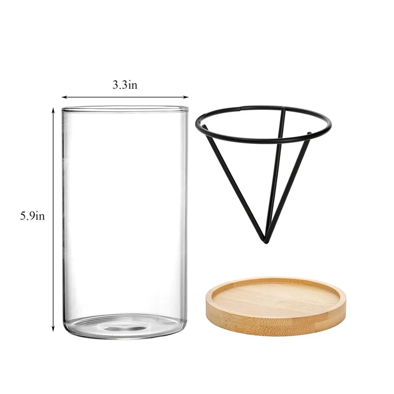 Glass Avocado Seed Vase with Triangle Bracket and Bamboo Base