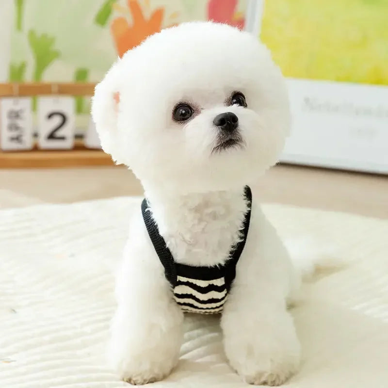 Pet Knitted Stripe Dog Clothes