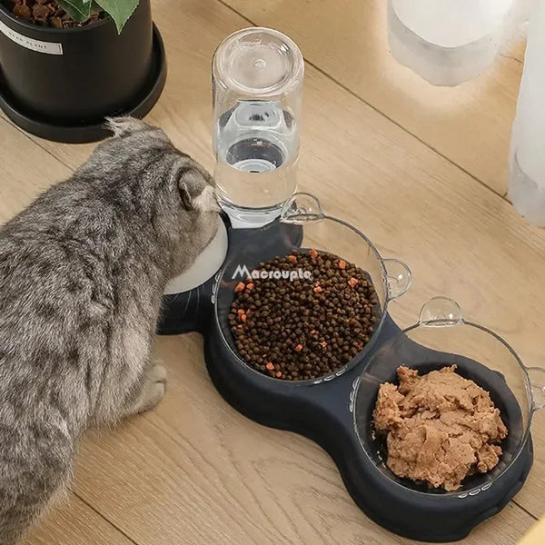 Pet Cat Bowl Automatic Feeder 3-in-1 Dog & Cat Food Bowl with Water Fountain