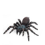 10cm Large Fake Spider Tarantula