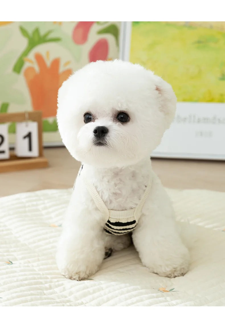 Pet Knitted Stripe Dog Clothes