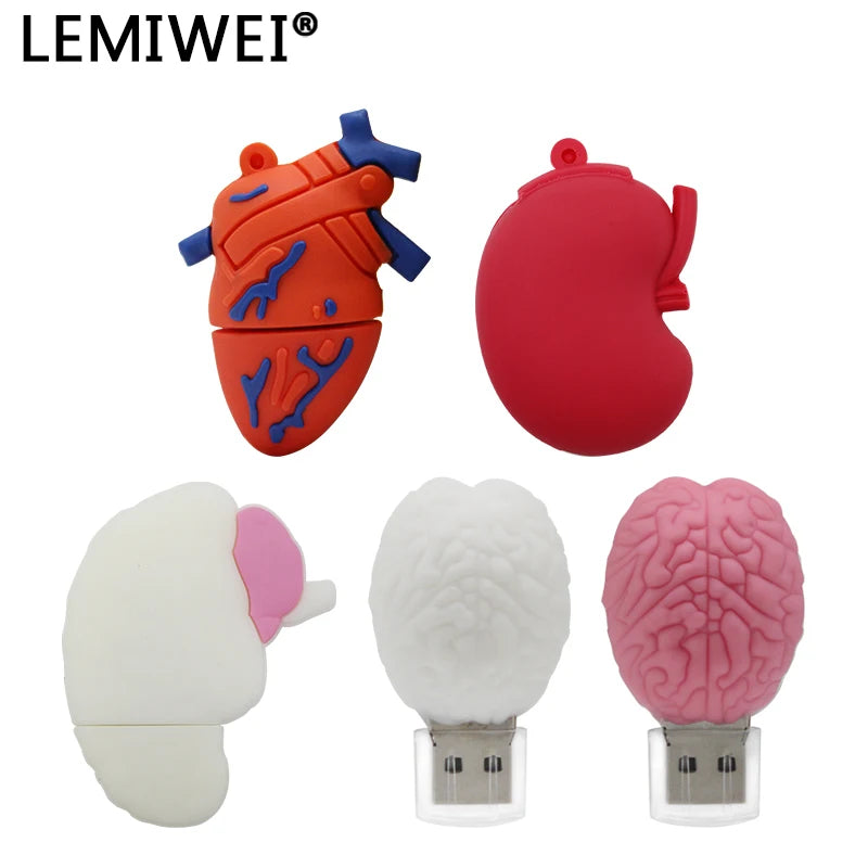 Cartoon Human Organs USB Flash Drive – Lung, Heart, Stomach, Brain Doctor Pendrive