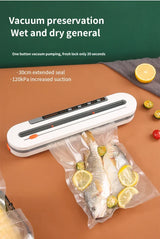 Automatic Vacuum Packaging Machine