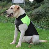 Thick Padded Pet Jackets