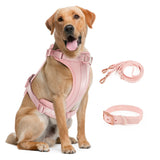 Pink Adjustable Chest Strap Three-Piece Harnesses