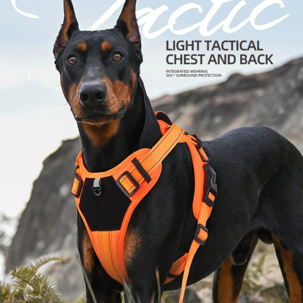 Multi-Functional Reflective No-Pull Dog Harness