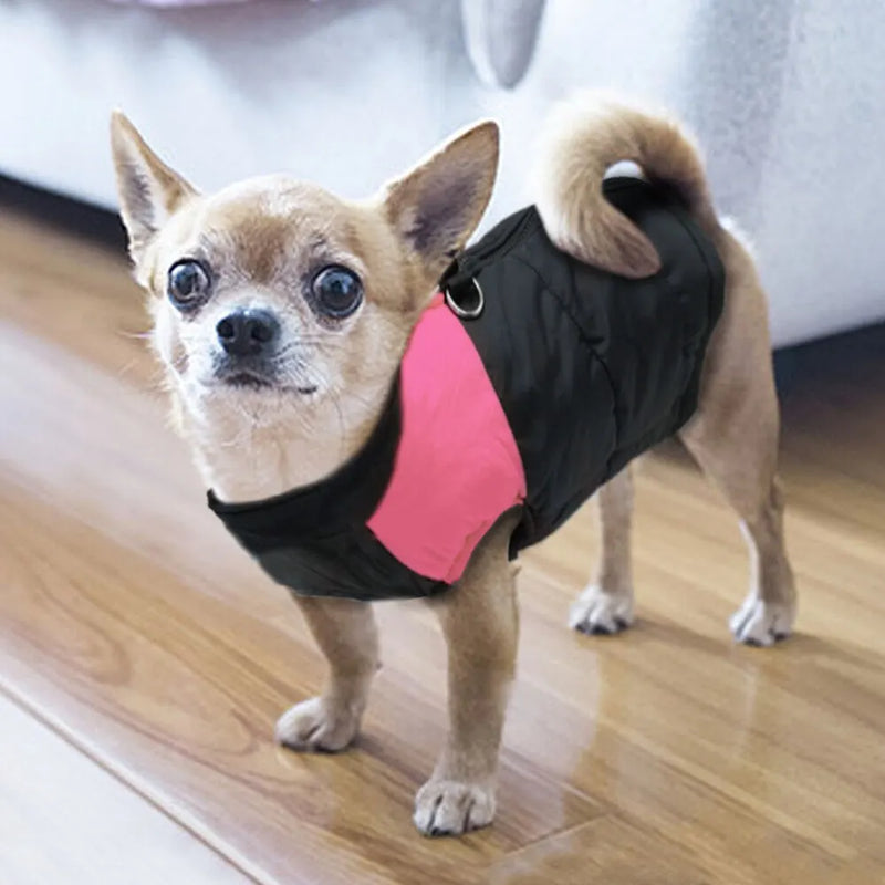 Thick Padded Pet Jackets