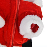 Santa Christmas Costume for Small Dogs