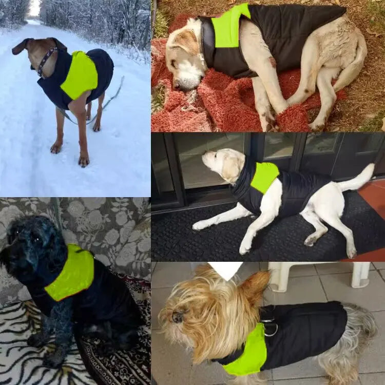 Thick Padded Pet Jackets